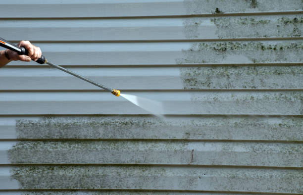 Best Toxic Mold Removal  in Enumclaw, WA