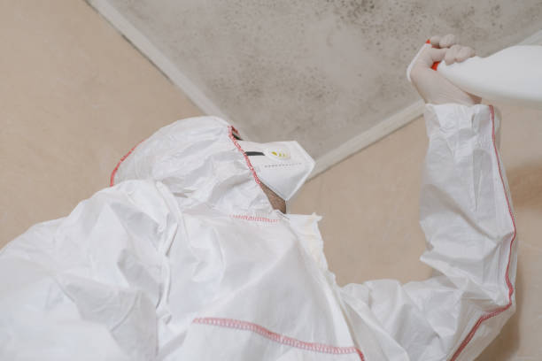 Office Mold Removal Services in Enumclaw, WA